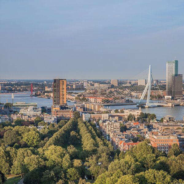 Skyline Rotterdam (Platz) von John Ouwens