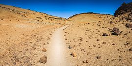 Nationalpark Teneriffa von Walter G. Allgöwer