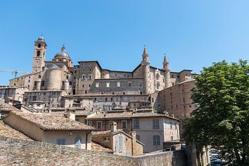 La belle ville médiévale d'Urbino