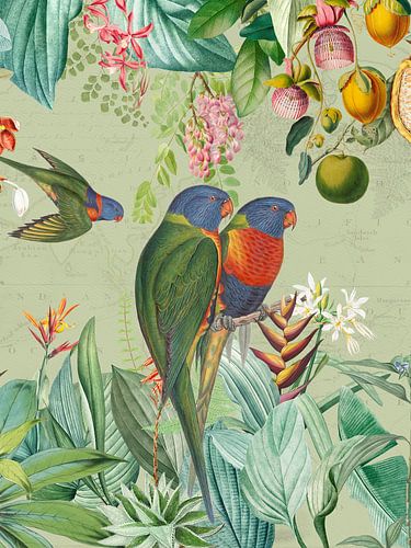 Des paons multicolores dans la jungle tropicale