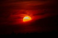 Tiefroter Sonnenaufgang mit Sonnenkugel von Martin Steiner Miniaturansicht