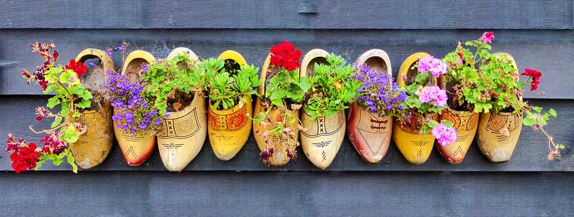 Hollandse gele klompen gevuld met geraniums van Jessica Berendsen