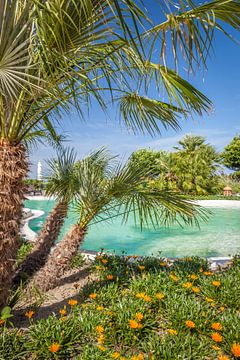 Tropischer Spa in Forio, Insel Ischia, Italien von Christian Müringer