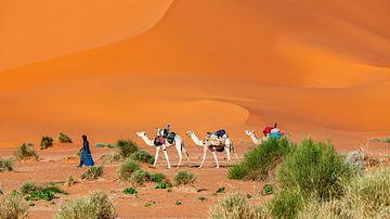 Caravan in the Sahara by Roland Brack