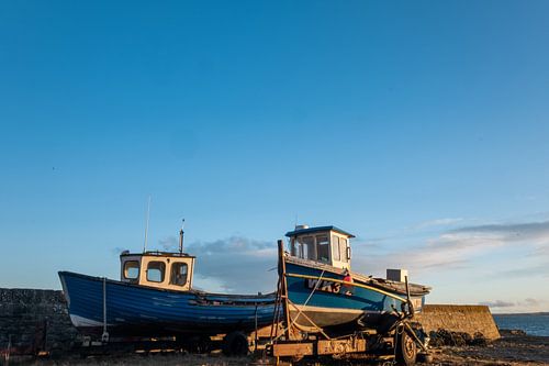 Boten in de haven