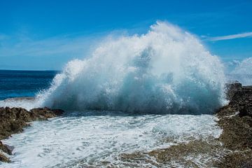 Waves splash high up against a rocky coast by Hugo Braun