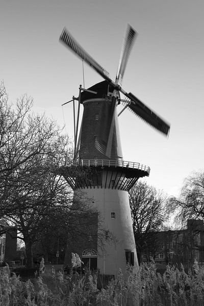 Mühle De Drie Koornbloemen in Schiedam von Rob Pols