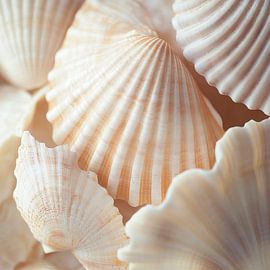 Delicate schelpen op het strand van Poster Art Shop