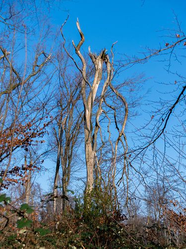les traces d'une tempête