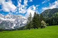 Zgornje Jezersko vallei in de lente van Sjoerd van der Wal Fotografie thumbnail