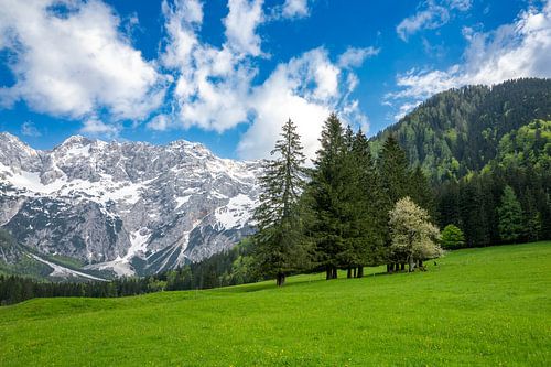Zgornje Jezersko vallei in de lente