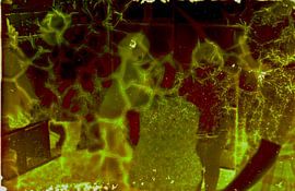 Diapositives perdues _ 4 sur Johannes Wobus