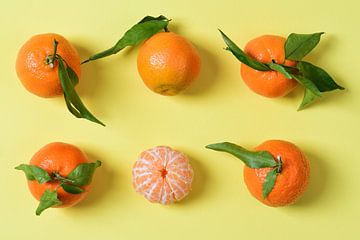 Zes mandarijnen van Ulrike Leone
