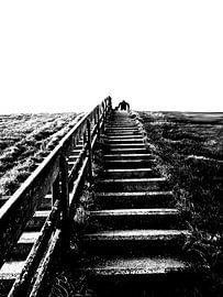 Stairs by David Pichler