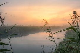 Sunrise foggy morning at the waterfront by Rick van de Kraats