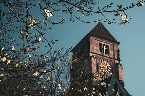 Castle church Chemnitz in spring