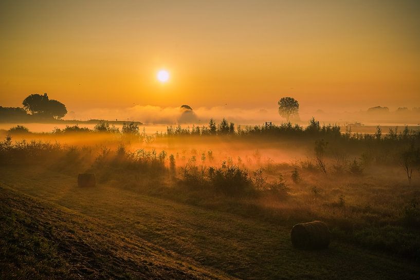 When the sun wakes up by Tina Linssen