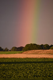 Rainbow by Erik Buitenhuis