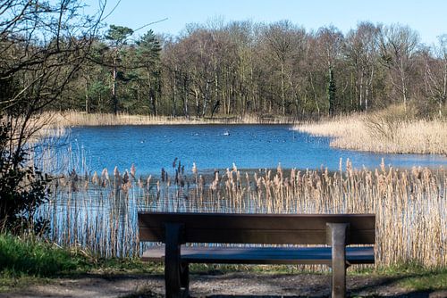Bankje aan het water in Oostvoorne