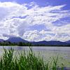Hopfen am See im Allgäu Bayern Deutschland von Karl-Heinz Petersitzke