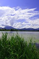 Hopfen am See in Allgäu Beieren Duitsland