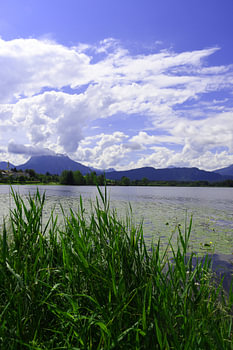 Hopfen am See im Allgäu Bavière Allemagne