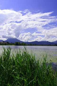 Hopfen am See in Allgäu Beieren Duitsland van Karl-Heinz Petersitzke