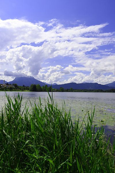 Hopfen am See im Allgäu Bavière Allemagne par Karl-Heinz Petersitzke