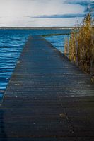 Steiger Zuidlaardermeer met riet