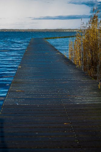 Gerüst Zuidlaardermeer mit Schilf