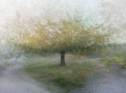 Hatertse en Overasseltse vennen part 17