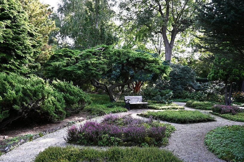 Zen garden by StudioMaria.nl