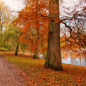 Herbstfarben in Groningen von Patricia Hofmeester