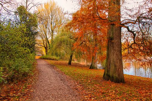 Autumn colours in Groningen