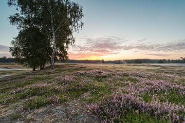 Lever de soleil sur les landes d'Utrechtse Heuvelrug sur Peter Haastrecht, van