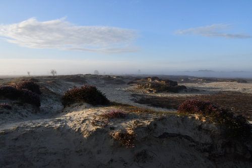 Zonsopkomst Balloërveld