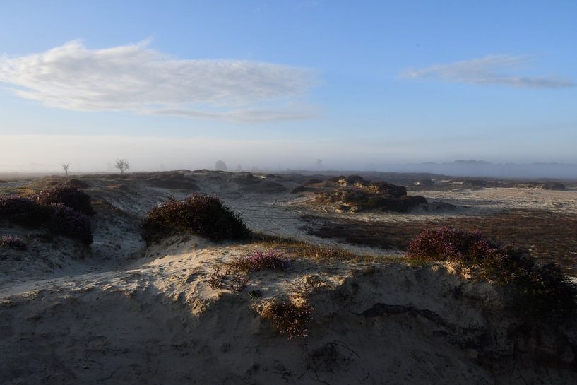 Sunrise Balloërveld by Bernard van Zwol
