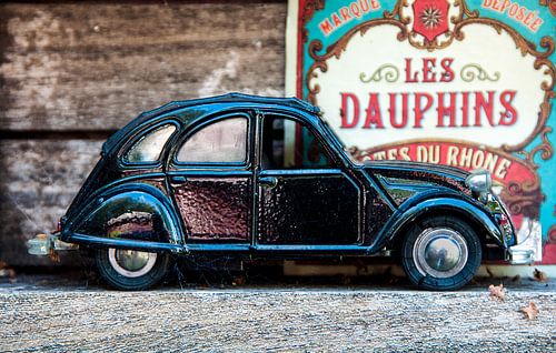 Ugly Duckling by Dennis Timmer