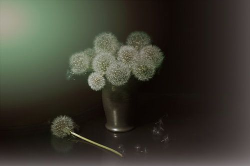 Une nature morte de rêve avec des pissenlits .