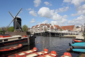 Molen de Put bij het Galgewater in Leiden van Carel van der Lippe