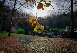 Fond ensoleillé sur Arash Mahdawi Nader
