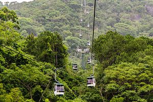 Seilbahn über dem Urwald bei Itajai in Brasilien