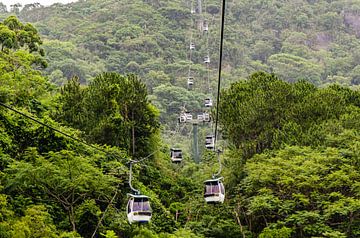 Touwbaan over de jungle bij Itajai in Brazilië van Dieter Walther