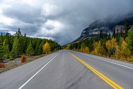 Icefields Parkway – Die Straße ins Nirgendwo