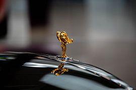 Symbol & Stil – Fahrzeugfronten im Fokus