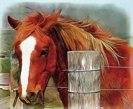 Gib mir eine Karotte