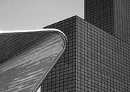 Gebouw Delftse Poort Rotterdam van Ton van Buuren thumbnail