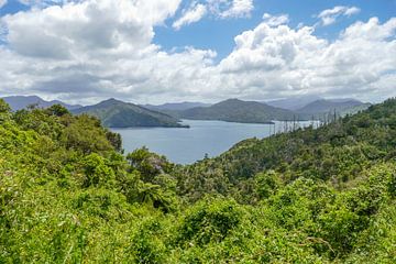 Point de vue de Cullen Point sur Achim Prill