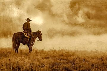 Cowboy op zijn paard in de prairie Amerika van Vlindertuin-Art