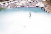 Kale takken reflecteren in meer (2) van Werner Lerooy thumbnail